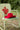 Red wool cowboy hat on a green metal chair with a heart  design outdoors-Fleastyle.