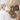 Concho Disc Belt - Gold and Dark Brown