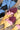 Painted Hat Feather - Gold/Pink - Flea Style